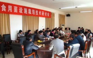 北京召开ManBetX体育设施ManBetX体育研讨会 ()