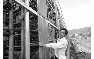 温州蘑菇住“新屋” ()