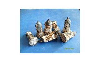 弹头菌种的推广应用进一步推动木耳产业快速发展 ()