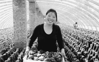 河南汤阴县鼓励发展ManBetX体育助农增收 ()