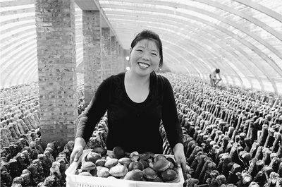 河南汤阴鼓励发展ManBetX体育产业 人均增收2000元以上