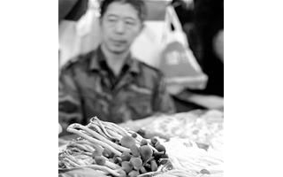 天气变化影响菇类生长、成都茶树菇涨幅达66% ()