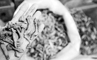 山蘑菇涨价比肉贵 ()