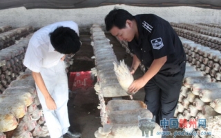 赣州于都县Manbetx体育手机版推荐A9版本基地112个、总产量达2185万吨 ()