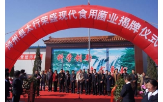 山西省泽州县太行荣盛现代Manbetx体育手机版推荐A9版本业揭牌仪式正式举行 ()