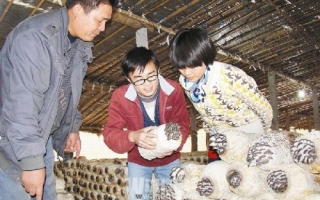 山东微山县大学生村官推进Manbetx体育手机版推荐A9版本产业交流 ()