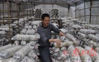 四川打工仔回家创业种Manbetx体育手机版推荐A9版本 ()