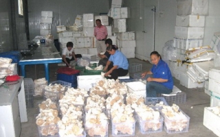 北京清水湾Manbetx体育手机版V17版本发布.官网安卓网.香港合作社首次实现规模化生产 ()