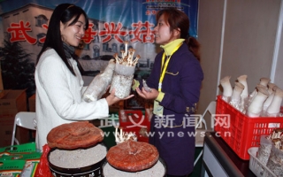 武义Manbetx体育手机版V17版本发布.官网安卓网.香港盆景备受青睐 ()