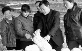 河南汤阴县农业专家下乡传授Manbetx体育手机版V17版本发布.官网安卓网.香港ManBetX体育 ()