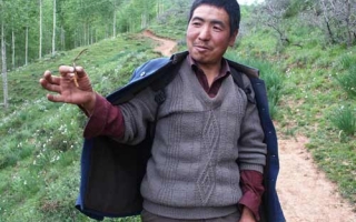 冬虫夏草：经济诱惑和生态保护间的两难抉择 ()