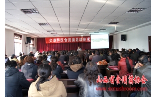 太原市尖草坪区积极开展香菇ManBetX体育培训 ()