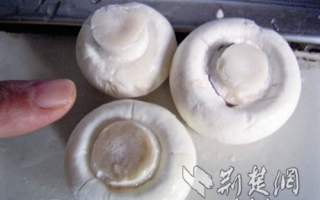 教授教您识别漂白蘑菇 ()