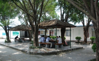 星河生物东莞塘厦基地 ()