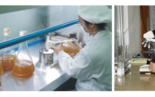 星河生物研发中心 ()