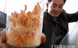 汾口艳阳天农业开发有限公司科研基地用科技撑起ManBetX体育致富大伞 ()