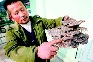 点击浏览下一张