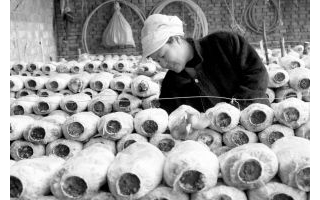 棉花将涨价的“蝴蝶效应”传导到了蘑菇身上 ()