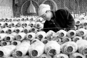 棉花涨价波及蘑菇种植成本(图)