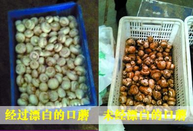漂白蘑菇VS未漂白蘑菇