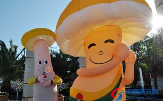 第八届中国(庆元)香菇文化节看点 ()