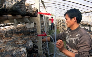 十堰市房县农民引进ManBetX体育先进技术 ()