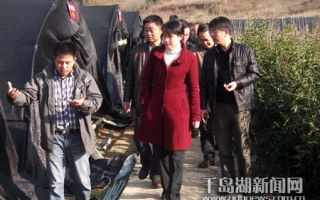 杭州科技人员到淳安县威坪ManBetX体育基地考察 ()