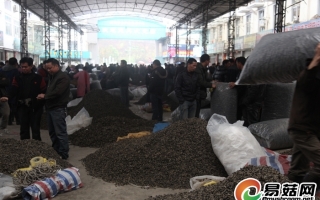 龙泉“浙闽赣Manbetx体育手机版V17版本发布.官网安卓网.香港交易中心” 日均交易量可达15—20万斤
