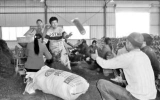 四川蓬溪县ManBetX体育产业园区景象繁忙 ()