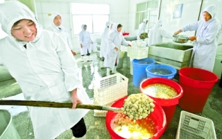 河南西平县重渠乡李庄村日加工鲜蘑菇50吨、产品全部出口欧洲 ()