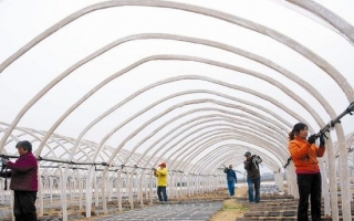 变冬闲为冬忙 ()