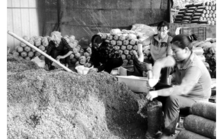 重庆市忠县村民ManBetX体育种植收入超过16万元 ()