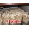 工厂化生产白色金针菇