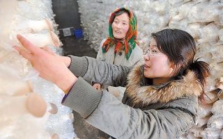 ManBetX体育园区铺就大学生创业路 ()