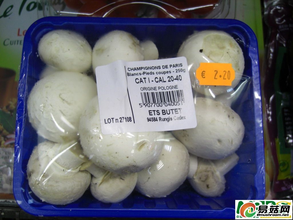 dvubb 按此在新窗口浏览图片