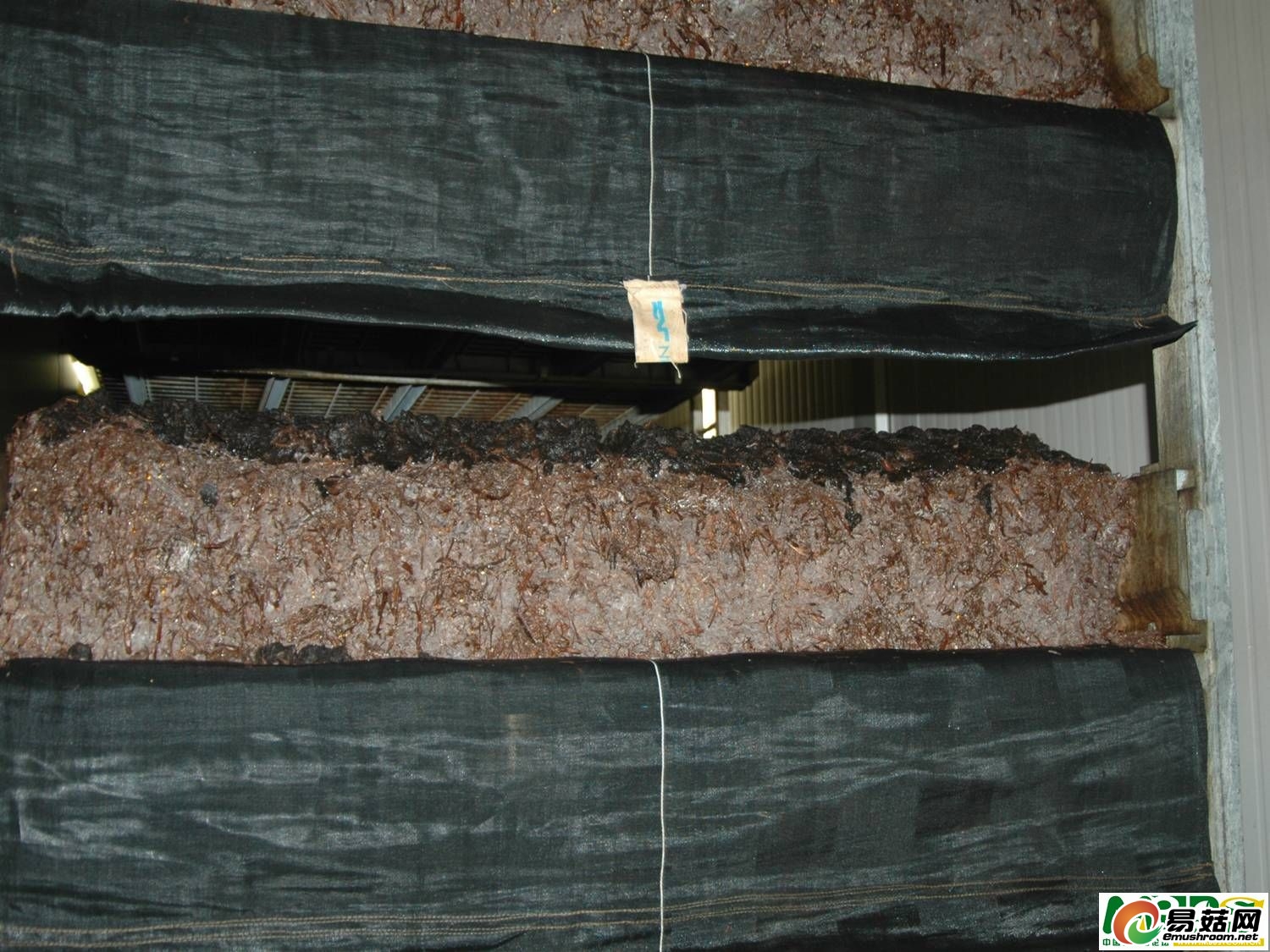 dvubb 按此在新窗口浏览图片