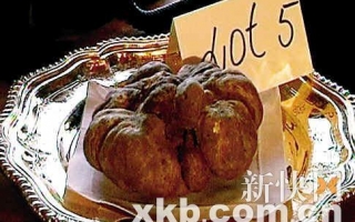 赌王何鸿燊四姨太200万买了两朵“蘑菇” ()