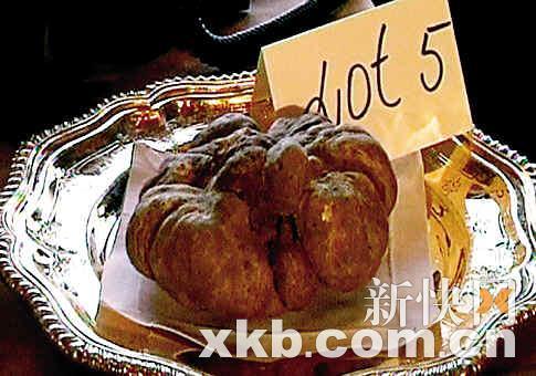 亿万富豪喜欢买啥 何鸿燊四姨太33万美元买两&ldquo;蘑菇&rdquo;