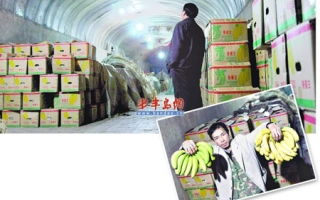 防空洞里存香蕉、种蘑菇 ()