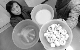 蘑菇一泡怎么变成了浆糊？ ()