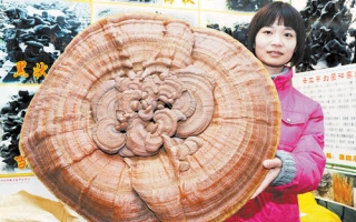 ManBetX体育产业已成为我国农村经济发展新亮点 ()