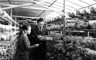 丽水检验检疫局龙泉办促进ManBetX体育出口大幅增长 ()