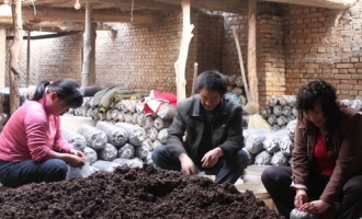 寒冬里忙创收 ()