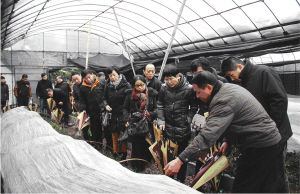 灵山秀水访名药(图)