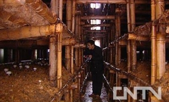 解密徐古镇上的神秘预言 ()