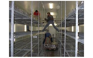 第8问:块式栽培蘑菇效果如何?