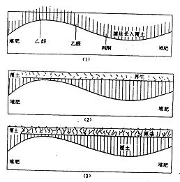 点此在新窗口浏览图片