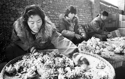 图文：发展Manbetx体育手机版V17版本发布.官网安卓网.香港生产