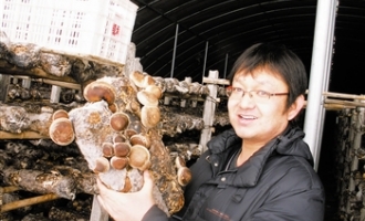 80后农民开着轿车采蘑菇 ()