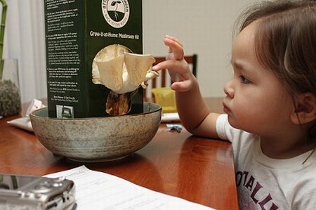 ManBetX体育种植包